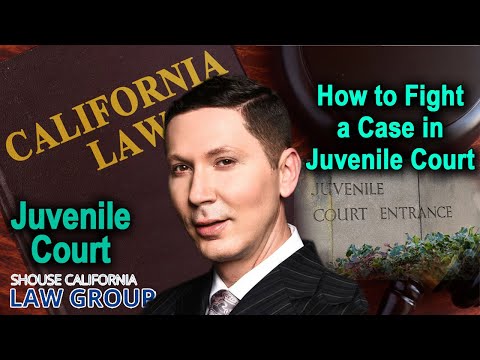 How to fight a case in juvenile court