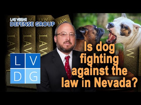 Can I get busted for &quot;dog fighting&quot; in Nevada?