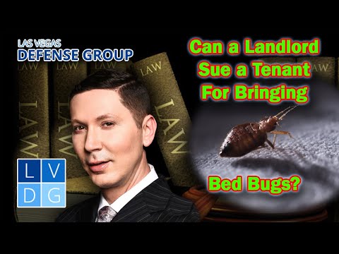 Can a landlord sue a tenant for bringing bed bugs into the unit?