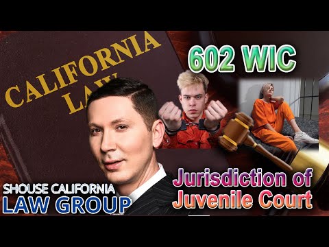 Welfare &amp; Institutions Code 602 WIC – Jurisdiction of Juvenile Court