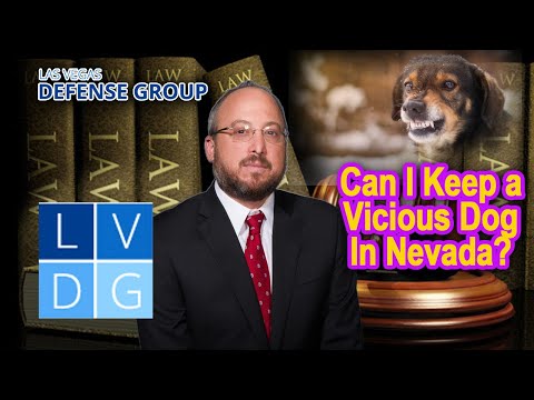 Can I Keep a Vicious Dog in Nevada?