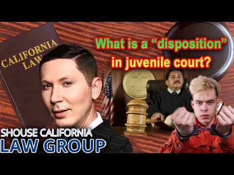 Juvenile guilty of crime: What can the judge do?