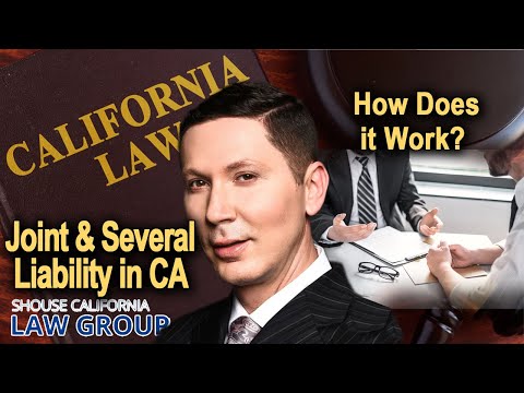 A primer on joint and several liability in California injury cases