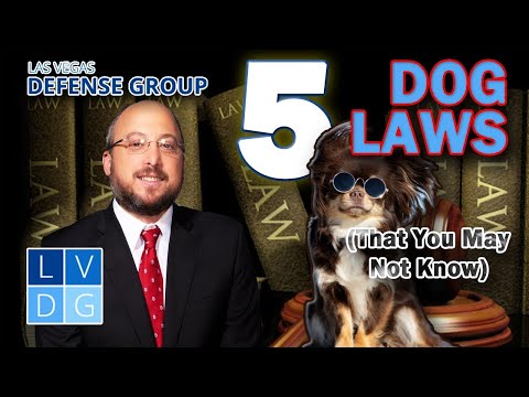 5 Nevada dog laws you may not have known existed