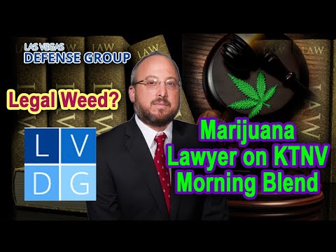 Legal weed in Nevada? Marijuana lawyer on KTNV Morning Blend