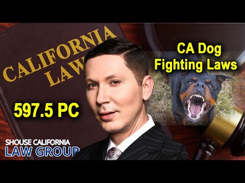 California &quot;Dog Fighting&quot; Laws | Penal Code 597.5 PC