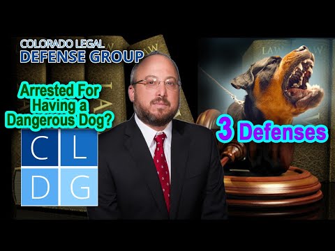 Arrested for Having a Dangerous Dog in Colorado? 3 Defenses