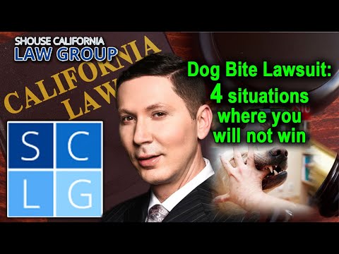 Dog bite lawsuits: 4 situations where you will NOT win