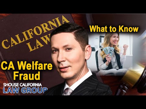 California &quot;Welfare Fraud&quot; Laws