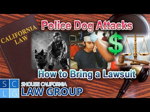 I was injured by a police dog – Can I bring a lawsuit?