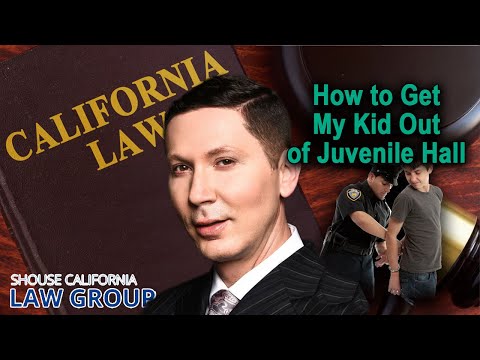 Legal Analysis: How to get my kid out of juvenile hall in California?