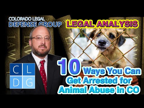CRS Â§ 18-9-202 - Animal Cruelty - Colorado Law & Penalties