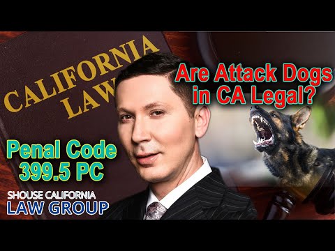 Penal Code 399.5 PC - Are attack dogs illegal in California?