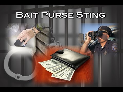What are &quot;Bait Purse Stings&quot; in Las Vegas casinos? Nevada theft laws.