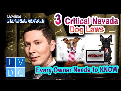 3 Critical Nevada Dog Laws Every Owner Must Know -- Top Nevada Injury Lawyer Explains