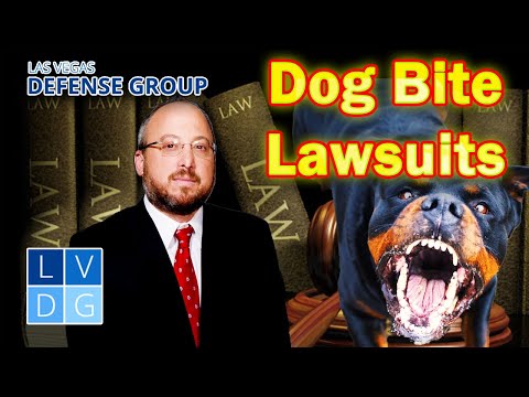Nevada Dog Bite Laws How To Sue For Money Damages