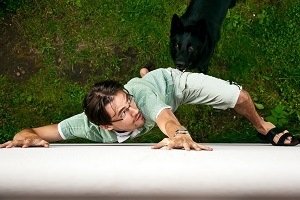 dog chasing a man up a wall