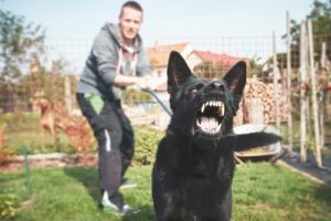 Man holding dog on leash about to bite