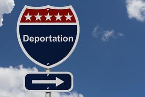 236 deportación optimizada