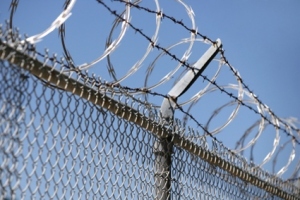 Img wirefraud prison