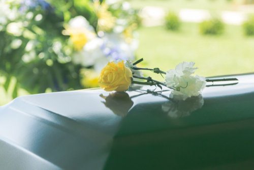 roses on top of a casket