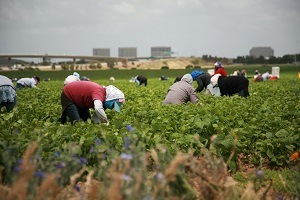 CRS 18-3-503 prohibits human slavery.