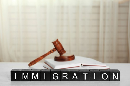 judge's gavel on top of stack of books with blocks spelling out immigration in front of them