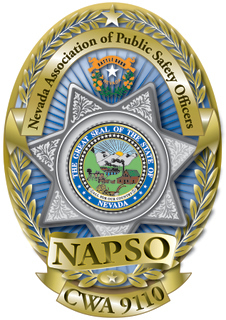 Napso 20logo