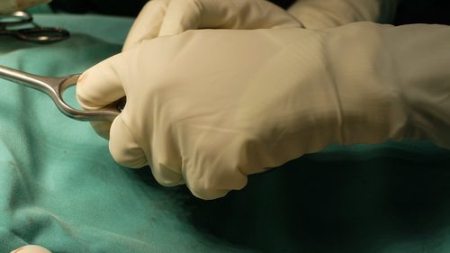Mesh surgeon hand