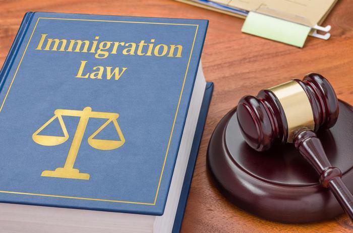 Libro de leyes de inmigración y martillo del juez