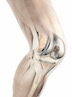 Implante de rodilla Attune