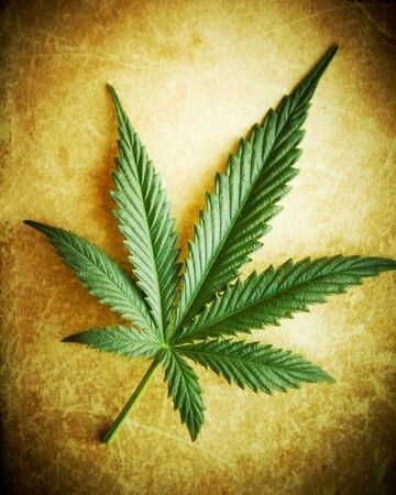 ¿Qué pasa si me pillan con marihuana en Yosemite?