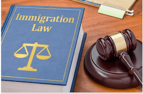 martillo de juez junto a libro sobre ley de inmigración