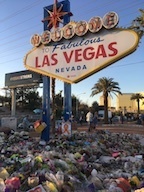 Lasvegassignflowers