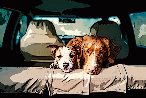 dos perros en el asiento trasero de un vehículo
