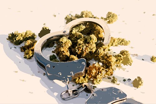 esposas de mano sentadas sobre un montón de cogollos de marihuana