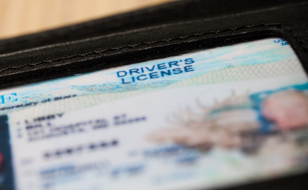 Close-up of driver's license in wallet