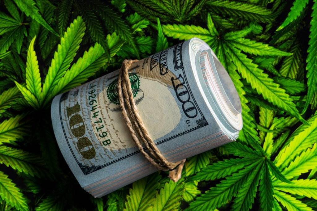 Rollo de billetes de $100 lavados en violación de HS 11370.9 contra el fondo de hojas de marihuana
