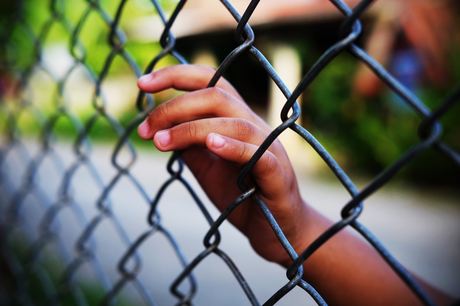 Young hand by chain link fence