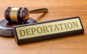 Gavel and placard that says deportation