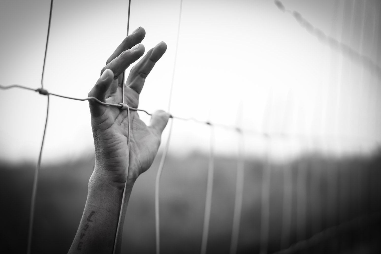 Young hand reaching through barb wire fence