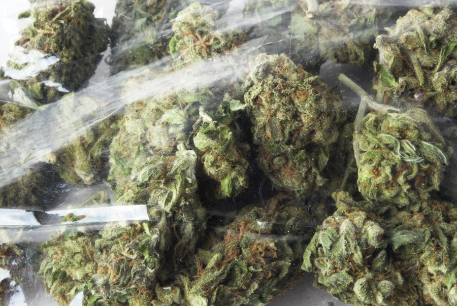 Bolsas de marihuana