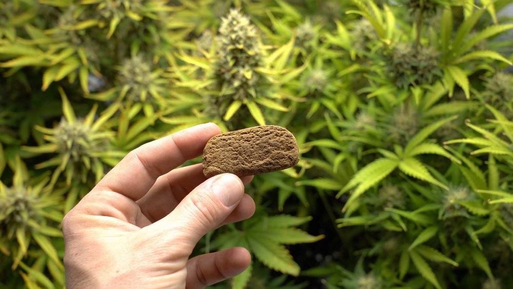A man holding a small block of hashish.