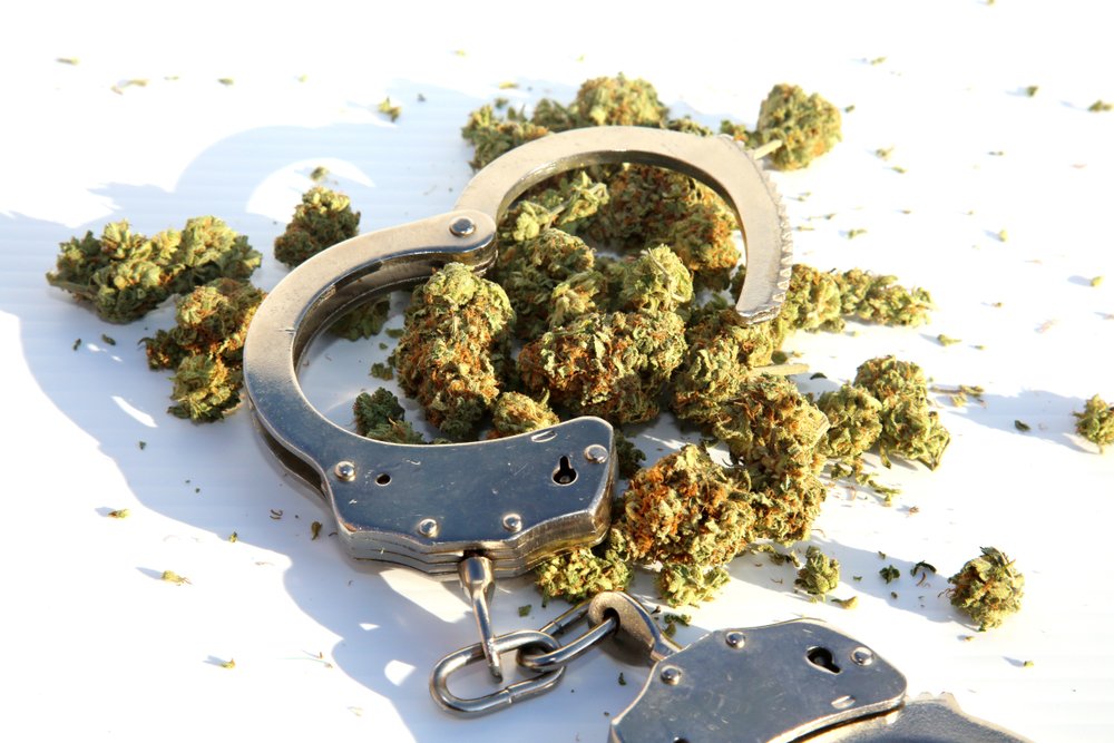 Marijuana buds and handcuffs.