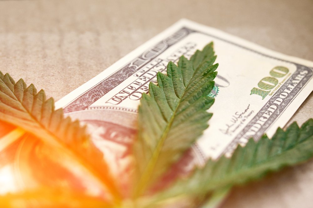 Una hoja de marihuana encima de un billete de cien dólares.