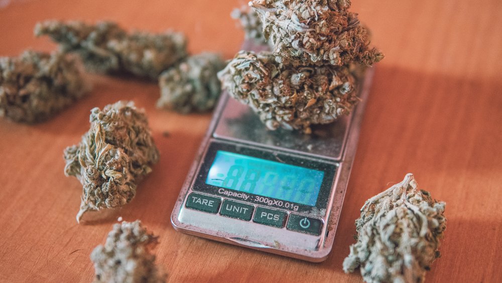 Marijuana on top of a digital scale.