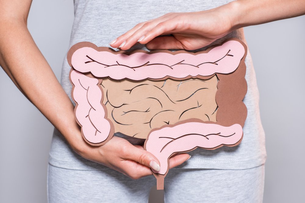 Una mujer sosteniendo una ilustración de intestinos sobre su estómago, representando el lugar donde la levadura es activa y produce etanol, lo que resulta en niveles elevados de BAC en personas que tienen el síndrome de auto-cervecería.