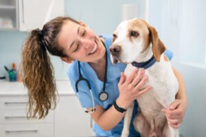 Sonriente veterinario sosteniendo un perro