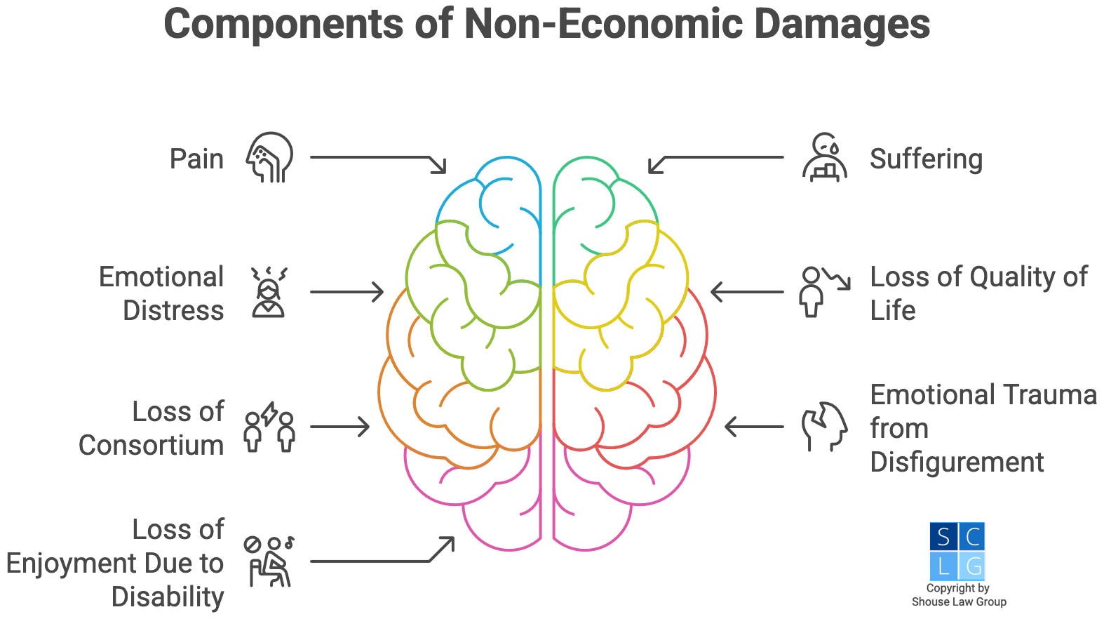 Graphic that shows different types of non-economic damages, such as pain and suffering