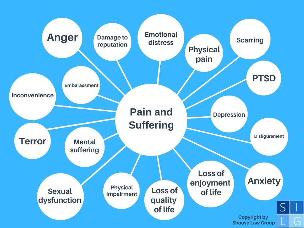 Bubble graph that illustrates the various conditions encompassed within "pain and suffering damages"